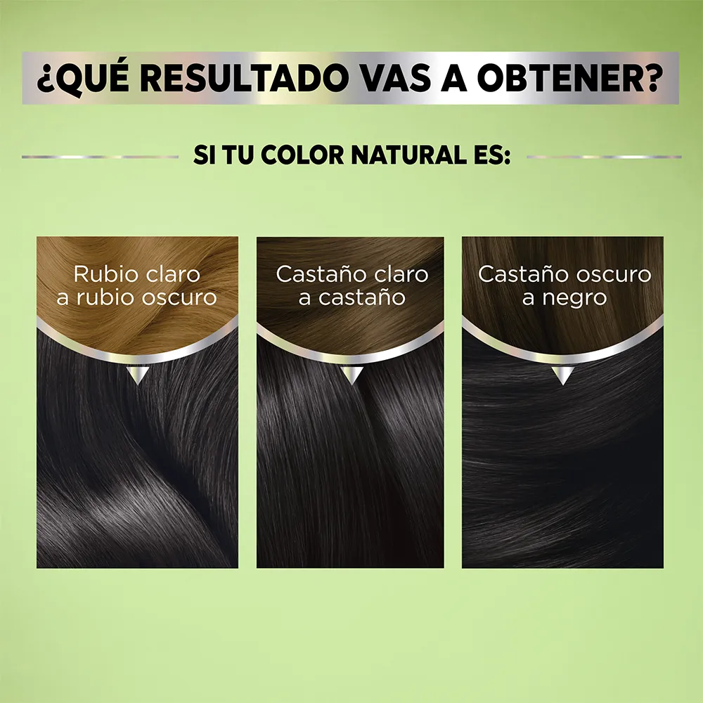 Garnier Kit Tintura Nutrisse Mascarilla Nutricolor Permanente