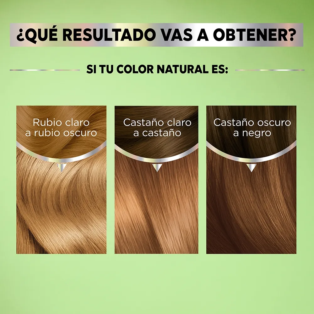 Garnier Kit Coloración Permanente Nutrisse Clásicos 63 Caramelo Dorado x 45 g