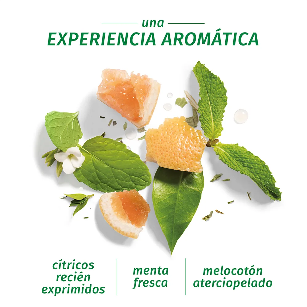 Herbal Essences Shampoo Bío:Renew White Grapefruit
