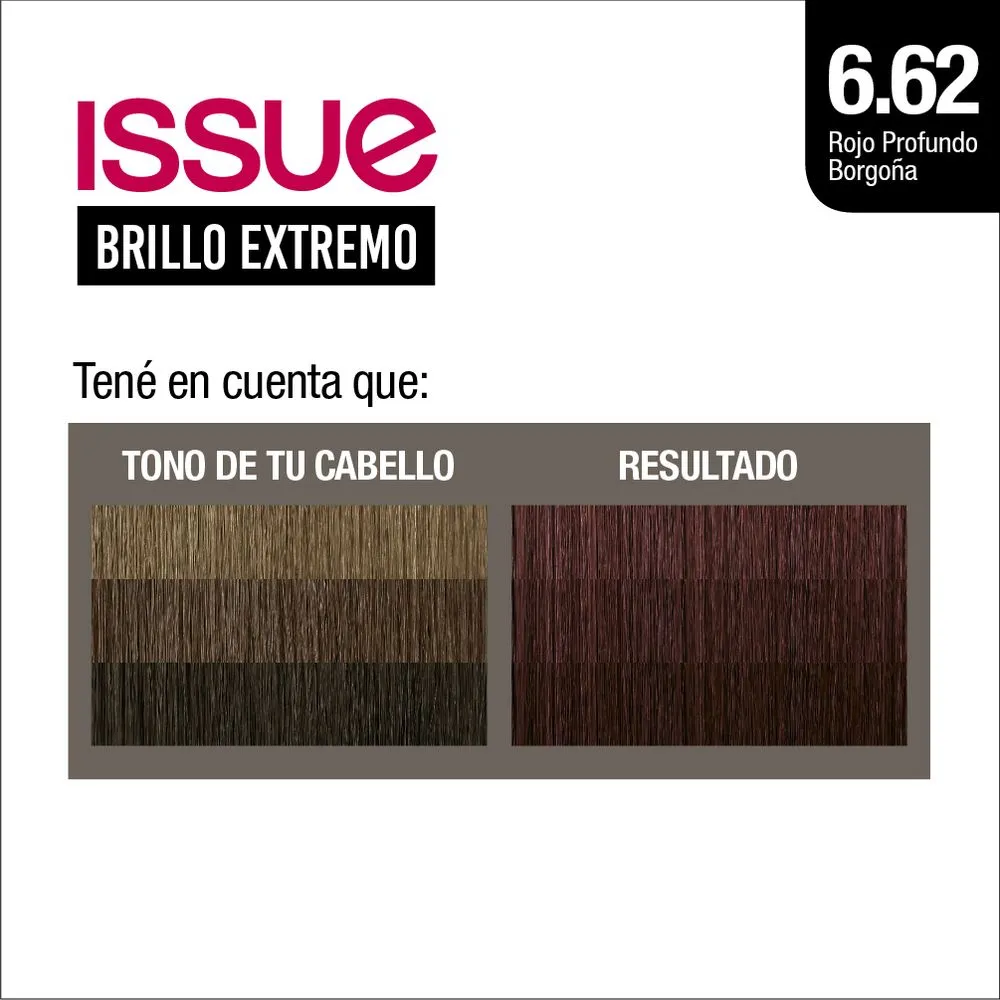 Issue Kit Coloración Permanente Brillo Extremo