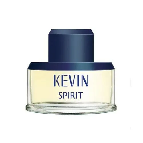 Kevin Spirit