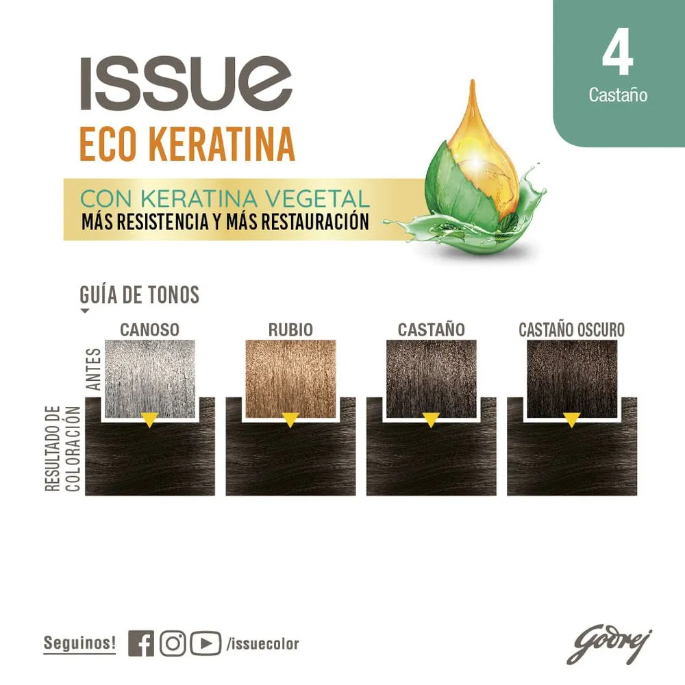 Issue Kit Coloración Permanente Eco Keratina