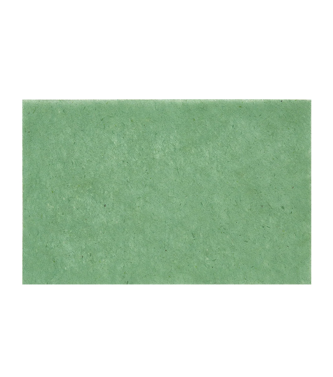 BRINGGREEN Artemisia Oil Control Paper 70u