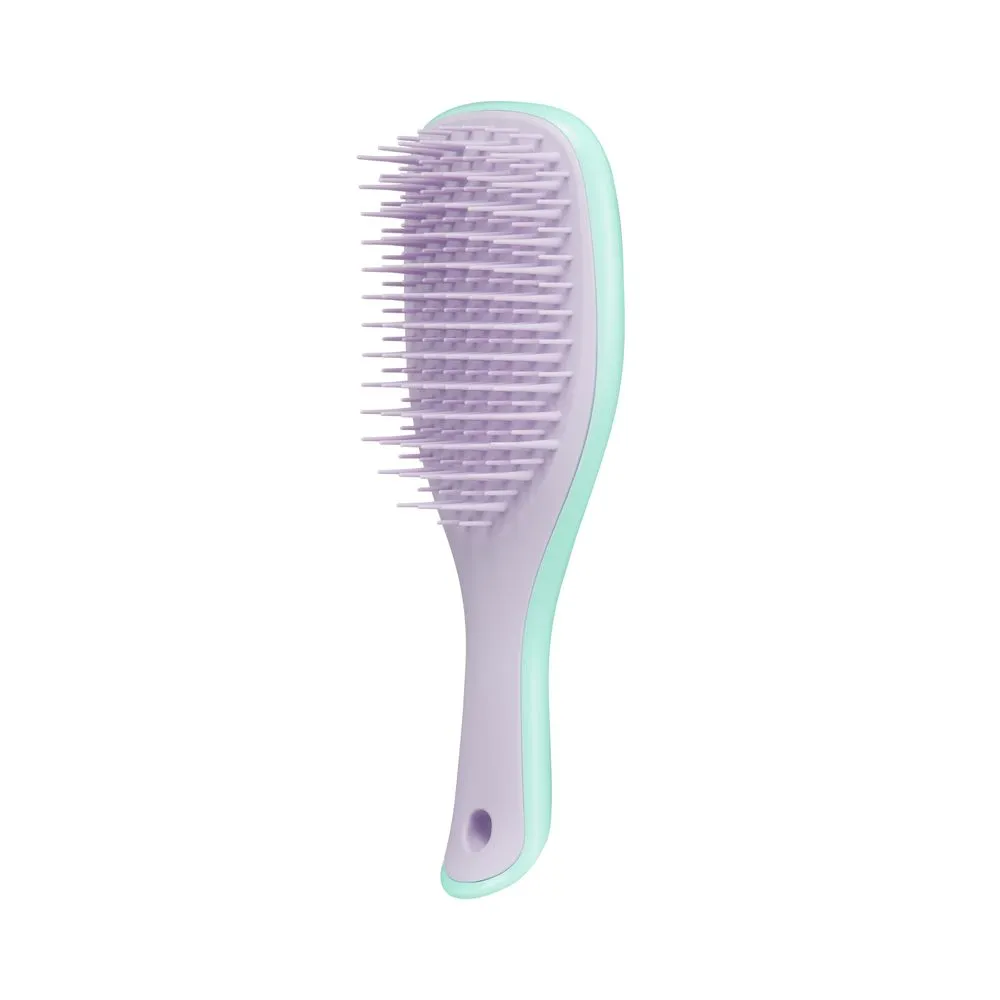 Tangle Teezer Cepillo de Cabello Tangle Teeze Mini The Wet Detangler
